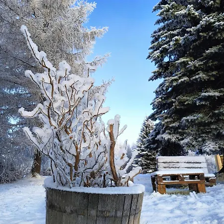 Osrodek Wypoczynkowy Przy Lesie 3*