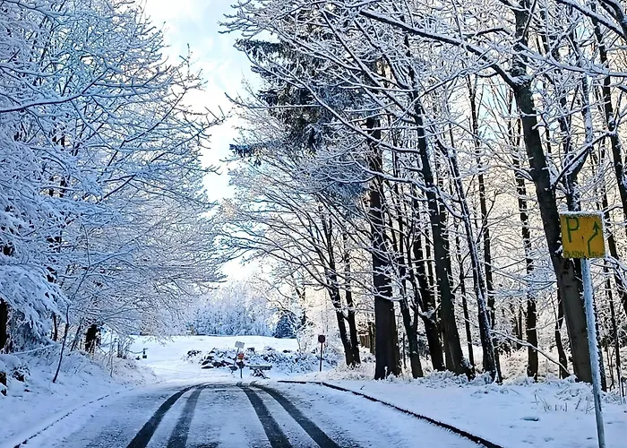 Osrodek Wypoczynkowy Przy Lesie Penzion Karpacz