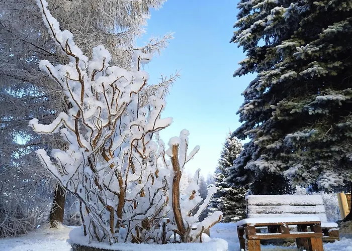 Osrodek Wypoczynkowy Przy Lesie 3*